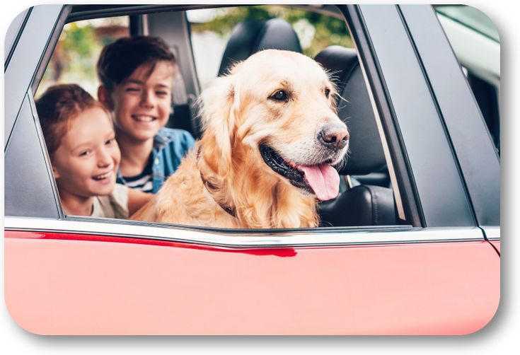 ผ่อนรถตู้มือสอง