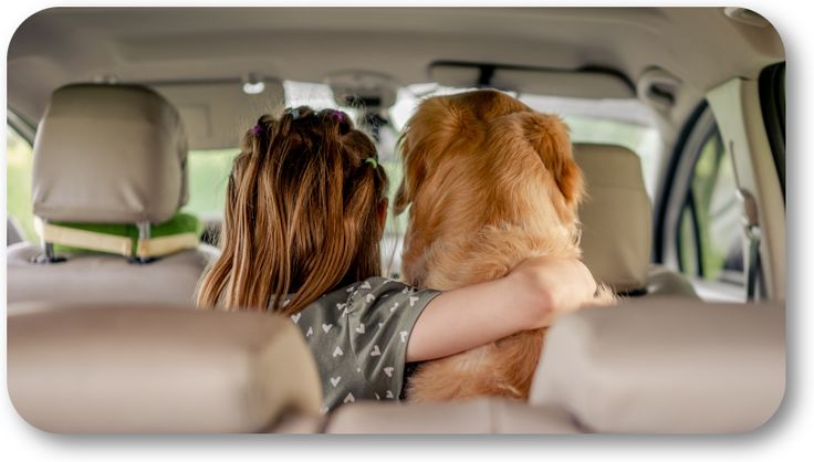 ดอกเบี้ยรถตู้มือสอง